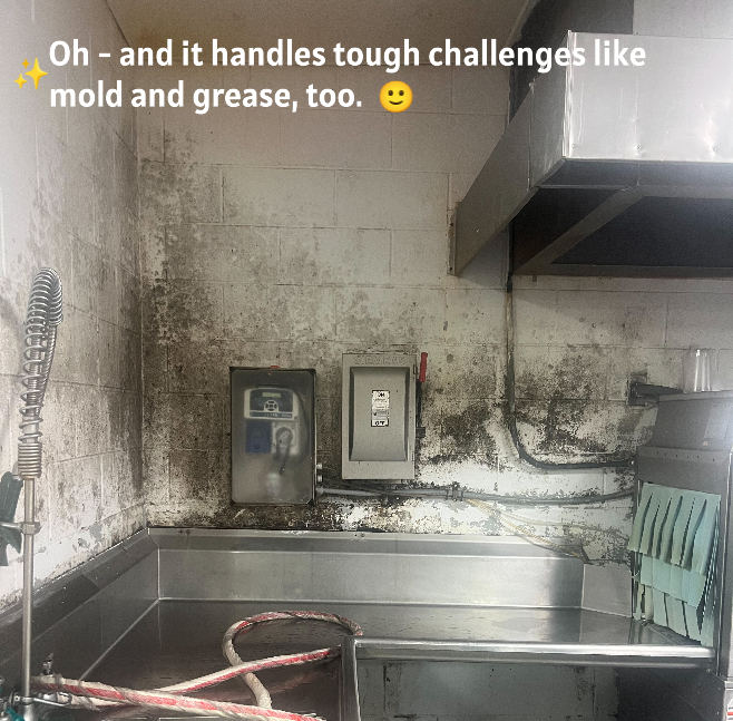 GodsSolution's tweet photo. A Louisiana jail saw a 62% drop in infection-related complaints in 30 days after switching disinfectants.

Same facility. Only change.

Why isn’t this happening everywhere?

https://t.co/1fWpBRZYR5 https://t.co/uQYEpn25vY