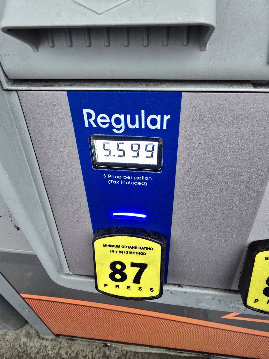 Ari Hoffman tweet media