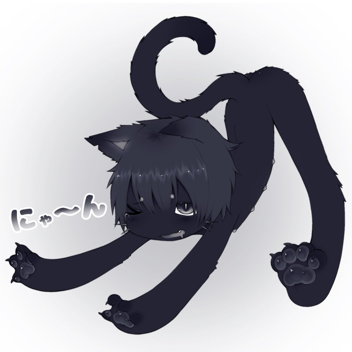 🐈‍⬛🐾 tweet media