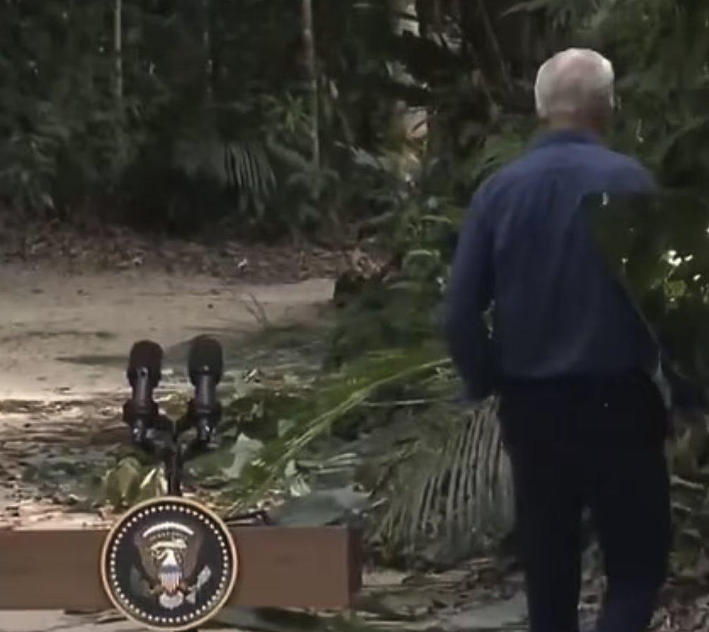 Don Kees tweet media