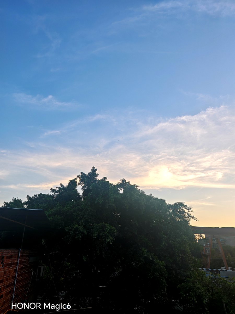 stine schelde hansen tweet media