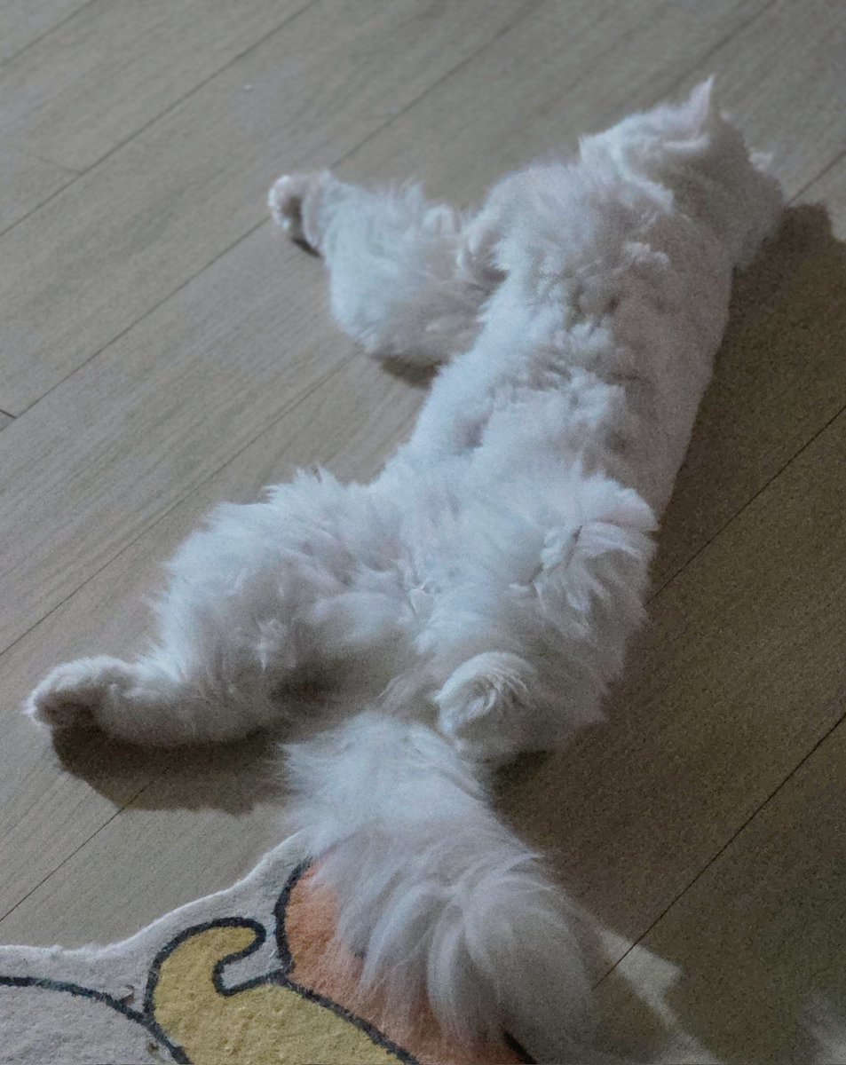 이달🌛 tweet media