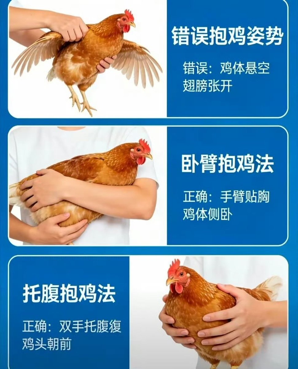 somedaydream tweet media