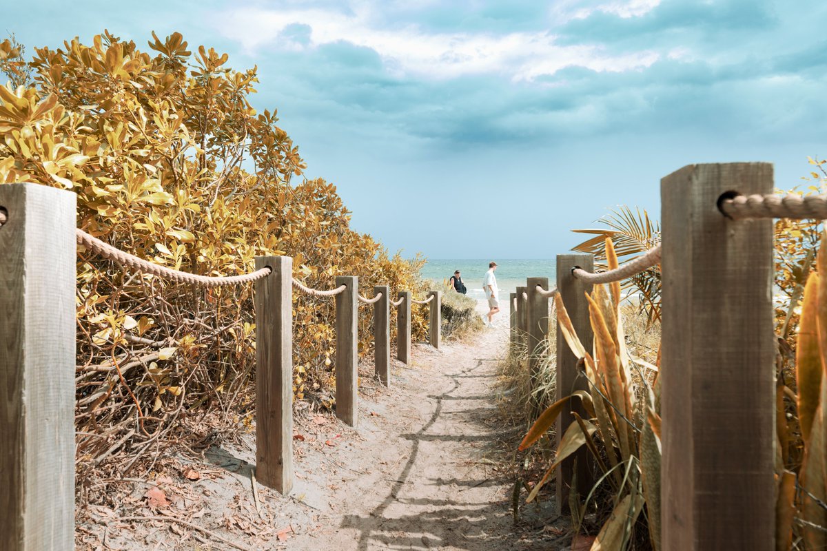 Florida Atlantic University tweet media