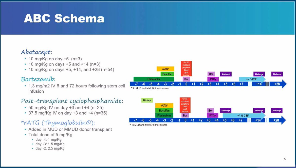 GvHD Hub tweet media