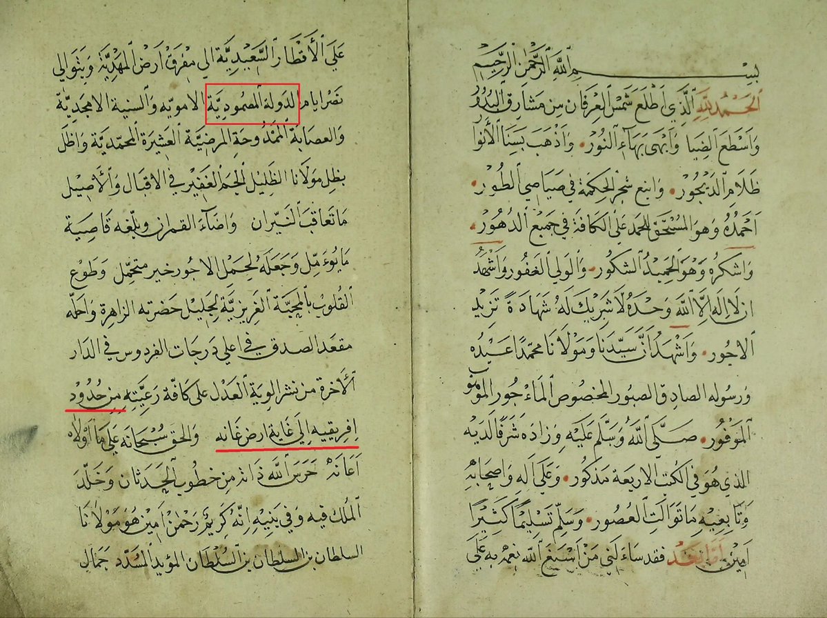 ᙅᖾᥲᥙʋɩᥒɩ⳽t🫥 tweet media