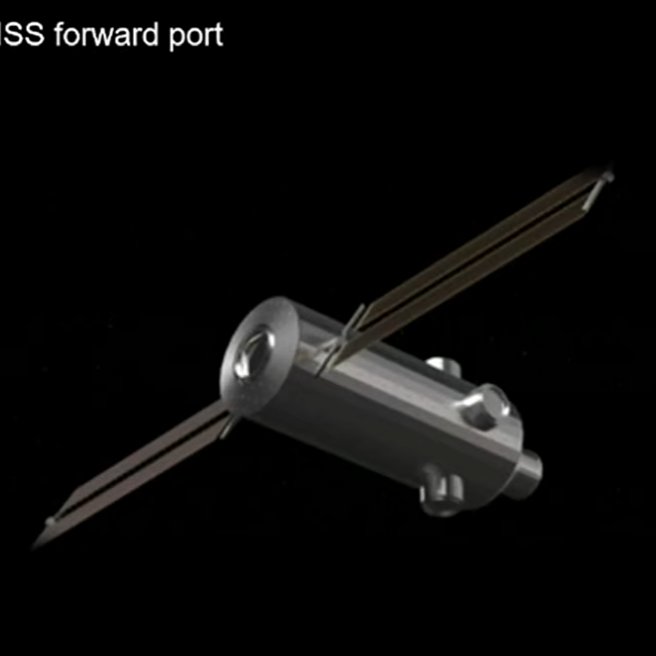 Ryan Caton tweet media