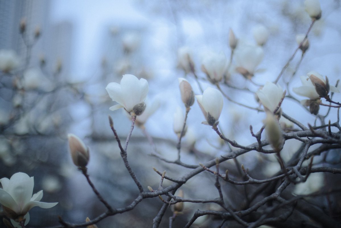 OKTO LEE tweet media