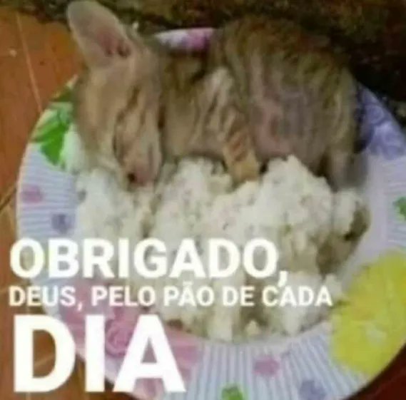 Frigobar_ tweet media