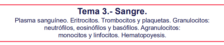 Funu the Funus (REQUESTS OPEN) tweet media