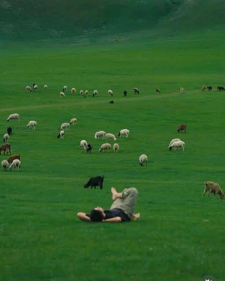 اشد ضرورت ہے کہ ہم خود پر تھوڑا رحم کریں🌿
خود کو بے وجہ پریشان نہ کریں،
کچھ دیر کیلئے ٹھہر کر خود کو یہ کہیں کہ ;
جو ہو رہا ہے ہونے دو
ہر چیز آپ اپنے قابو میں نہیں کر سکتے۔
خود کو نہ تھکائیں،
جس نے آپ کو آج تک سنبھالا ہے
وہ آگے بھی سنبھال لے گا،
صبر و شکر کریں۔🤍🌷
#اردو_زبان