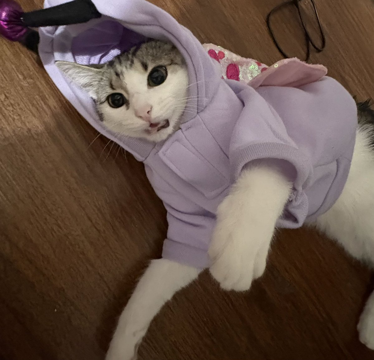 Yumemitchi tweet media