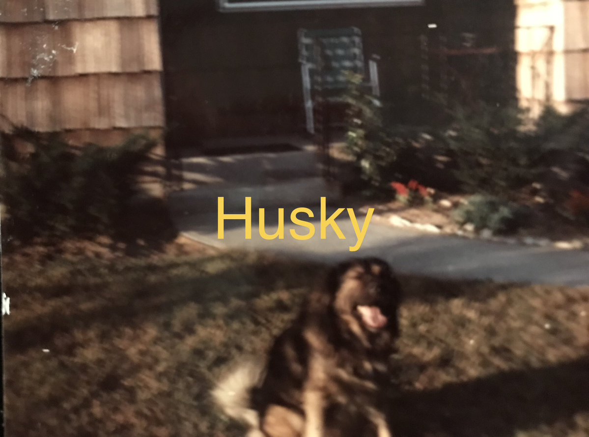 DJ Nicoletti tweet media