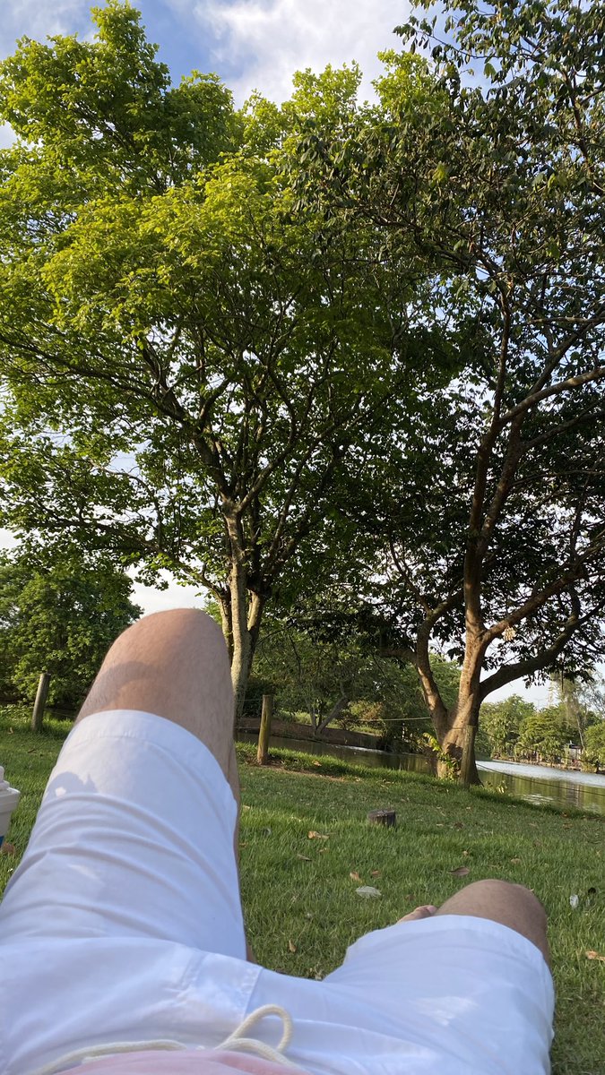 Covil da Renault 🧙🥂 tweet media