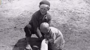 Dariusz Brzozowski tweet media