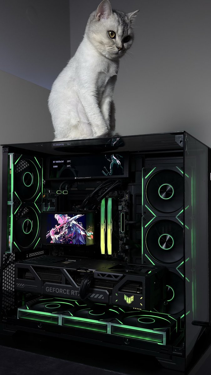 Rayan Qj tweet media