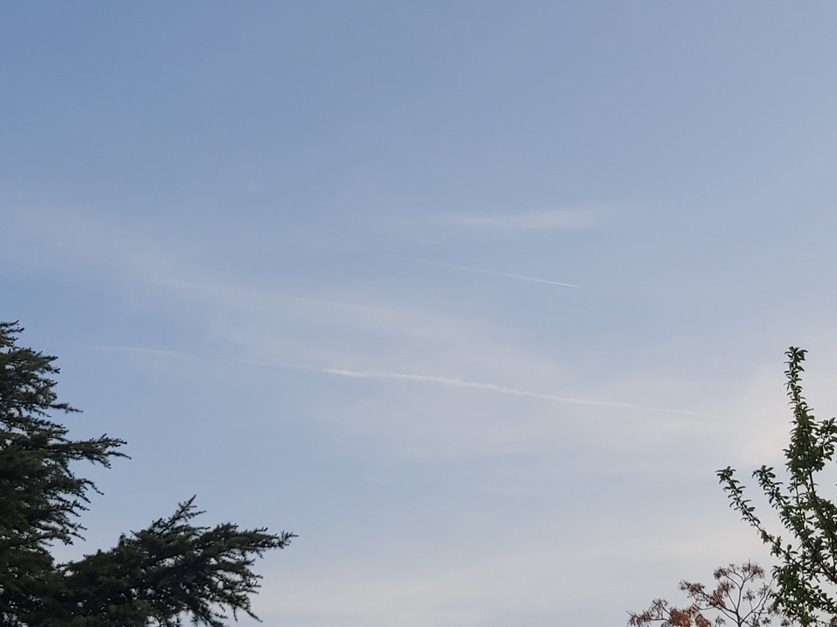 @purereason1972 tweet media