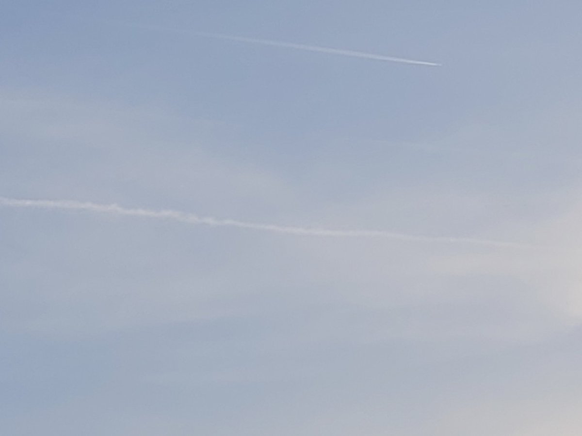 @purereason1972 tweet media