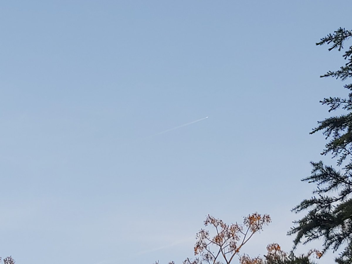 @purereason1972 tweet media