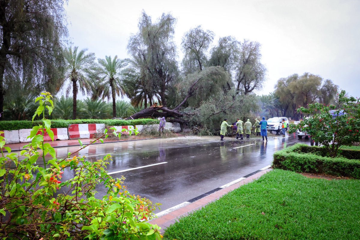 مكتب أبوظبي الإعلامي tweet media