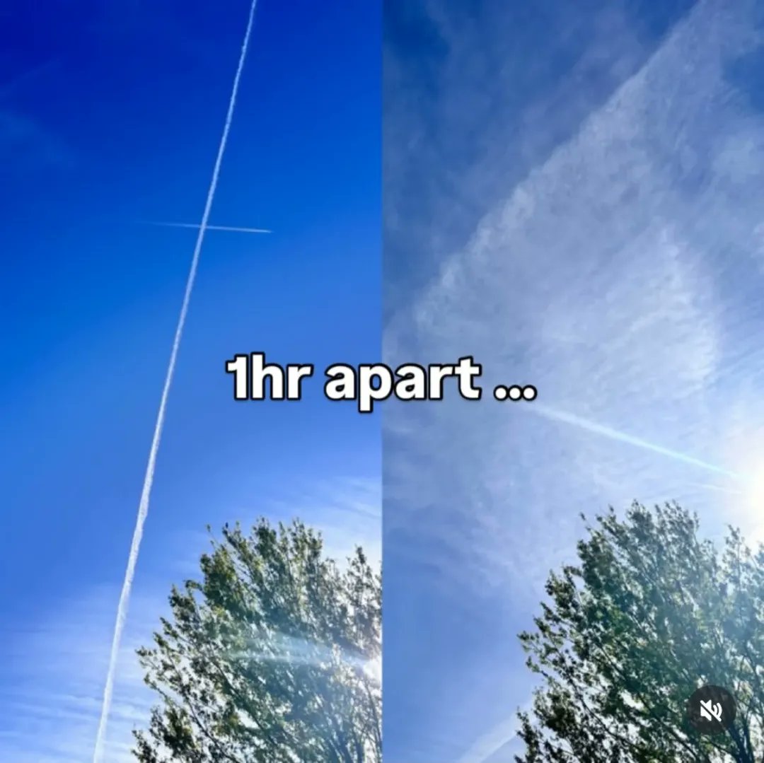 Redpill Drifter tweet media