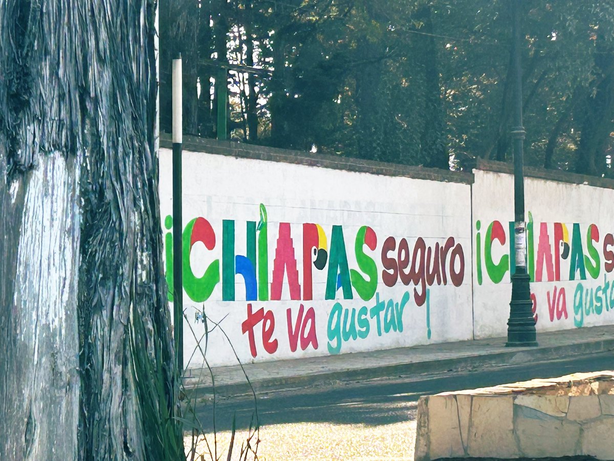 Leonardo Toledo tweet media