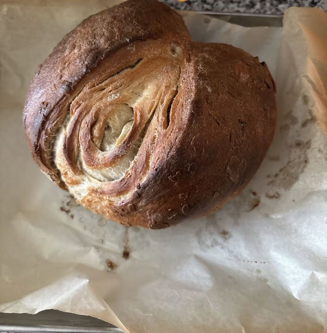 ale sobrevivió a tocorón tweet media