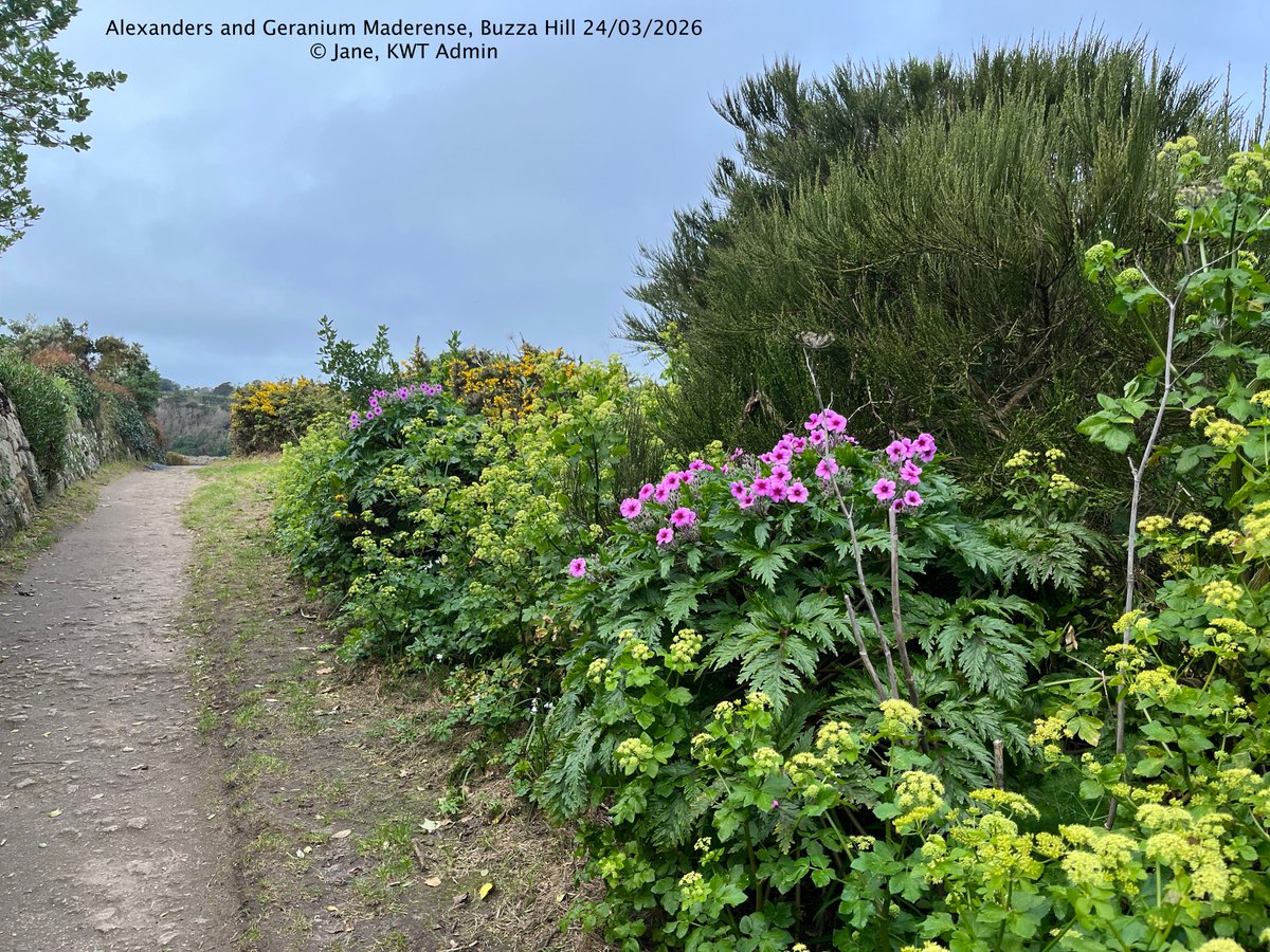 Kernow Weather Team tweet media