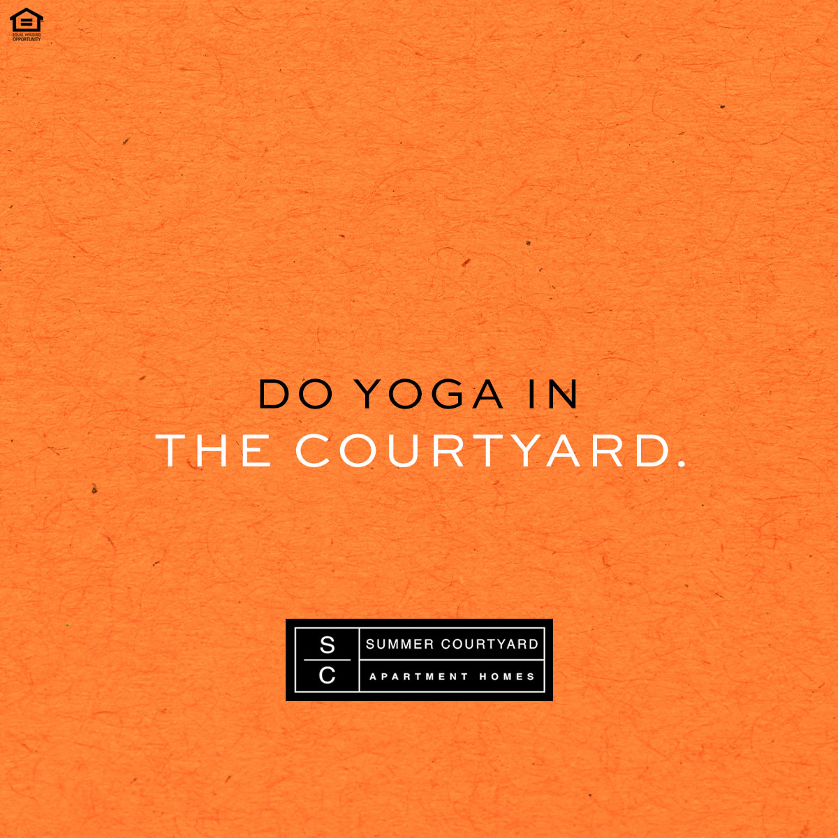 Summer Courtyard Apartments tweet media