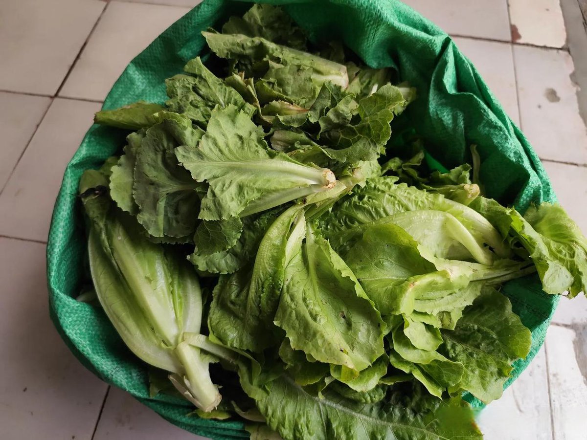 Ryan Evans tweet media