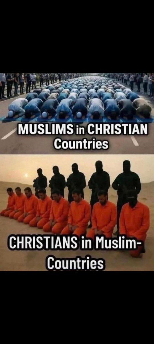 Carolyn Duimstra tweet media