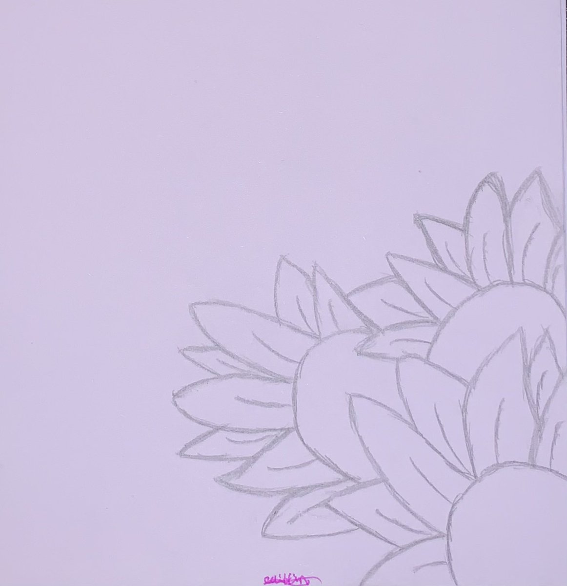 caitlin ʚĭɞ tweet media