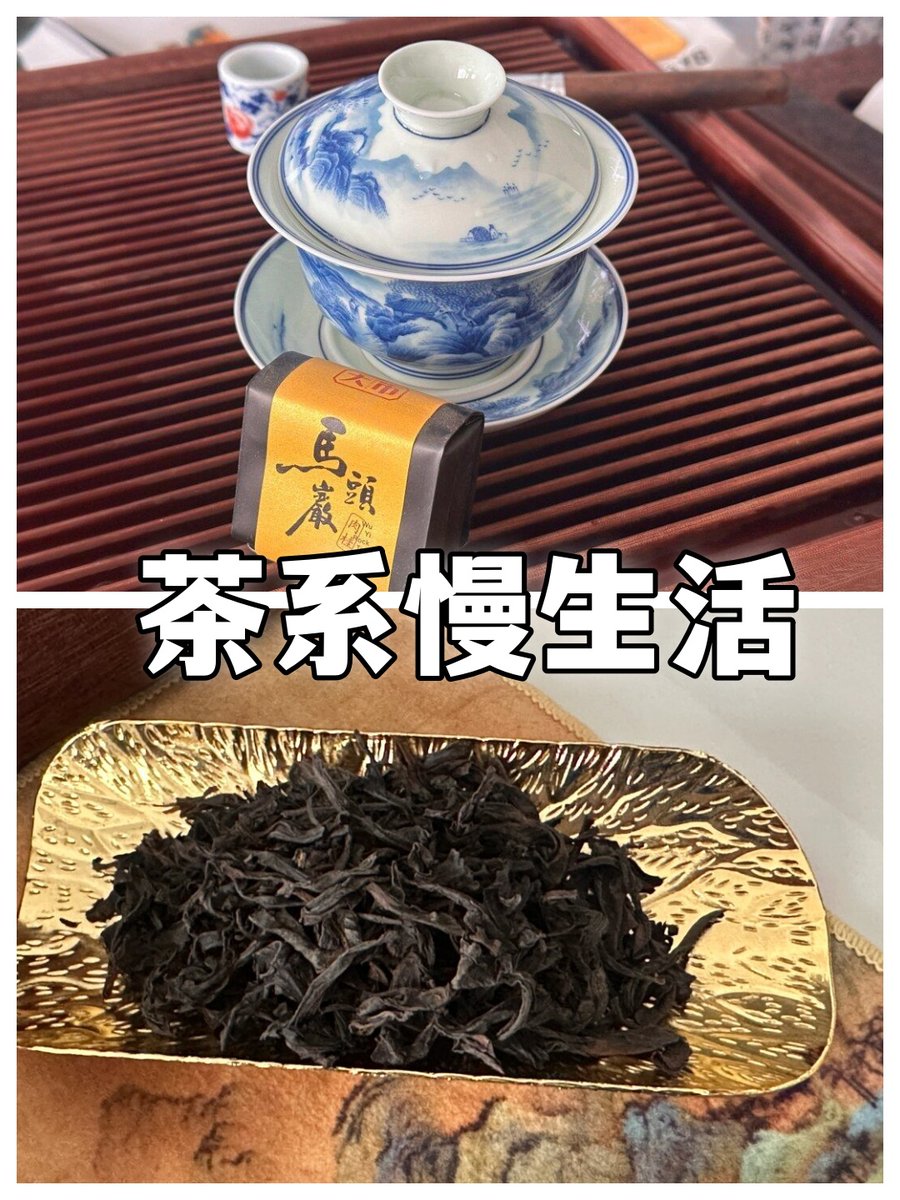 Maximilian McClure tweet media