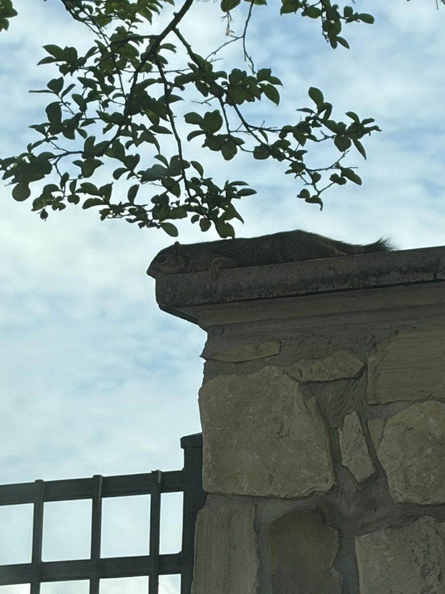 manda🪽 ⁷ tweet media