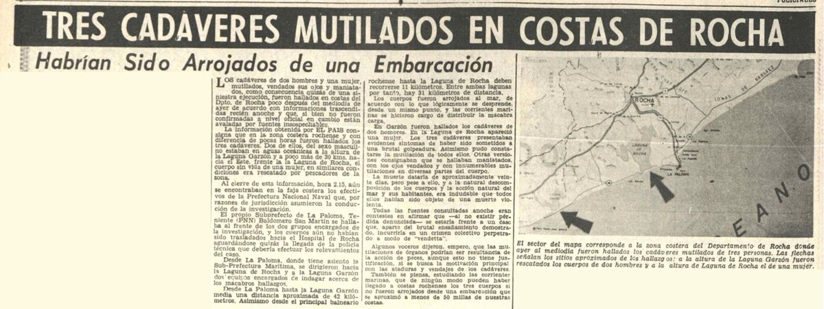 Tanque Shirley tweet media