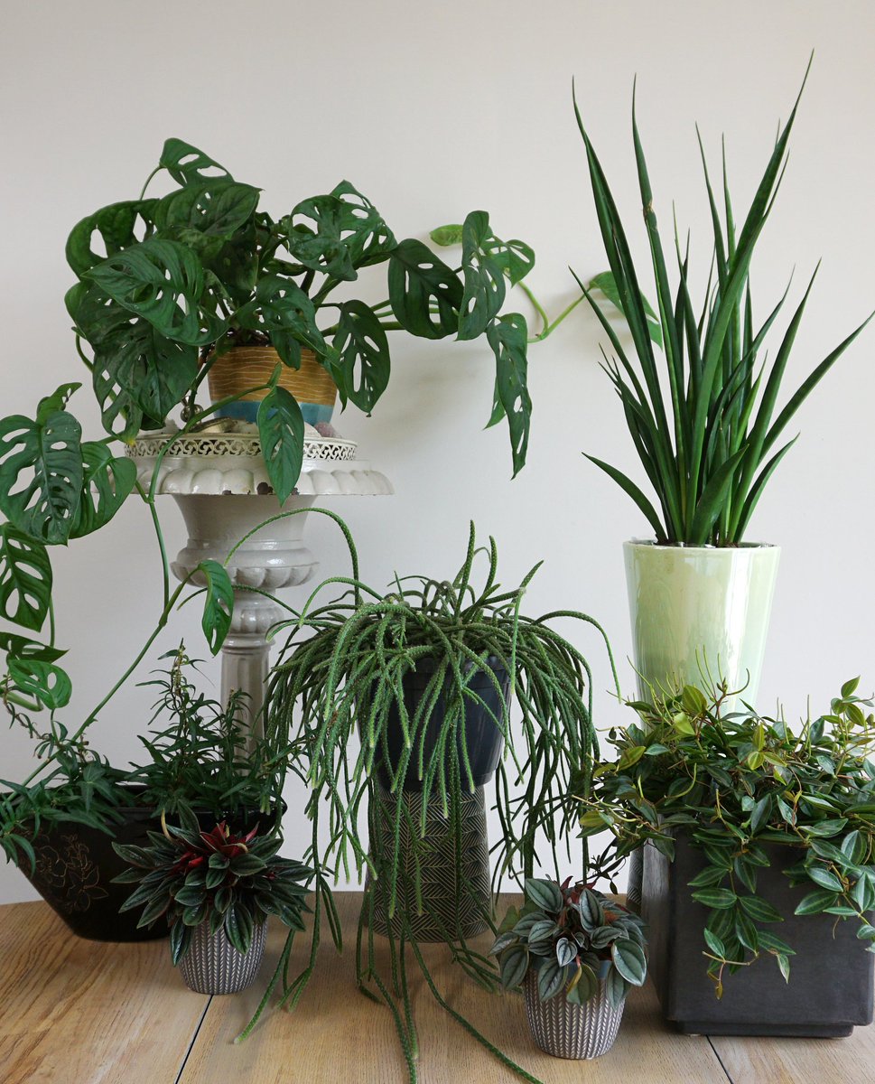 Arvind chauhan tweet media