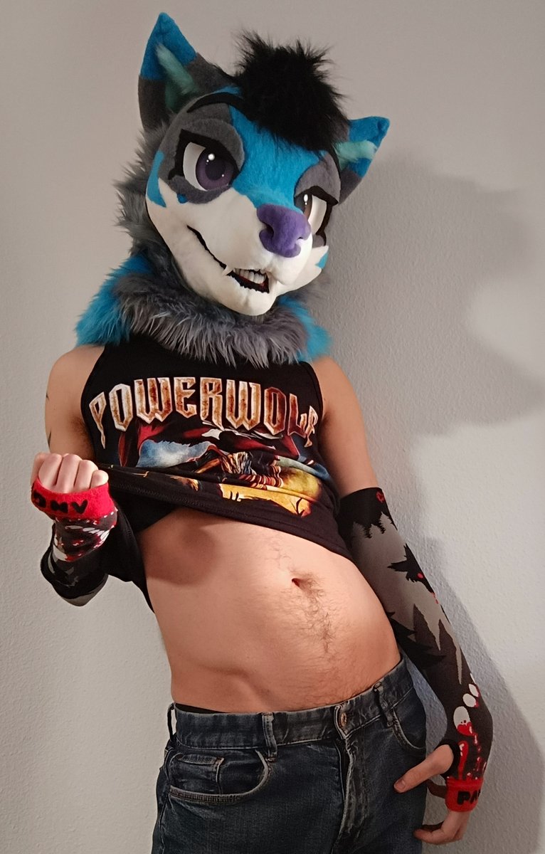 ❄Xinoc the Arctic Foxxo❄ 🔜Ibercon / Furizon tweet media