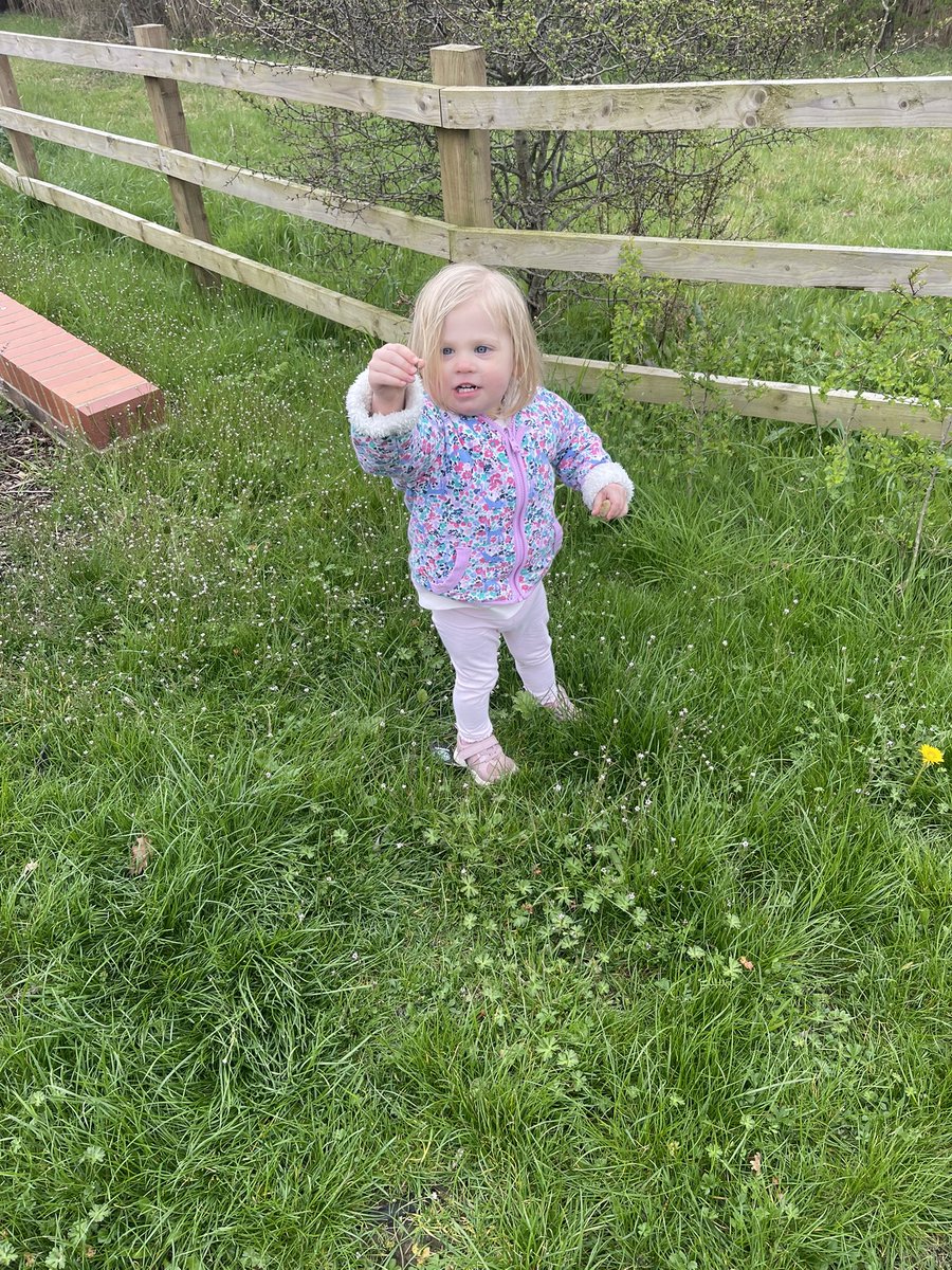 Explodogmax tweet media