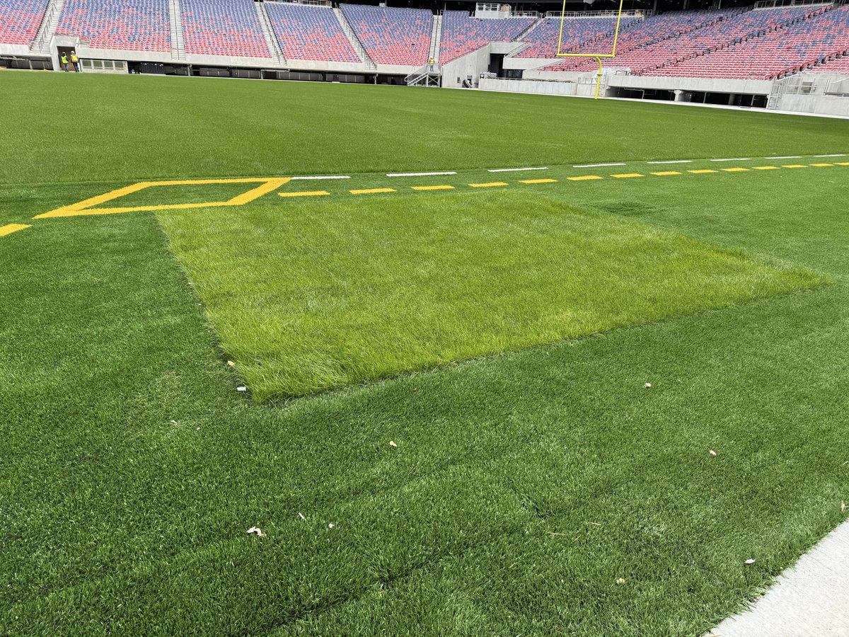 Thad Brown tweet media