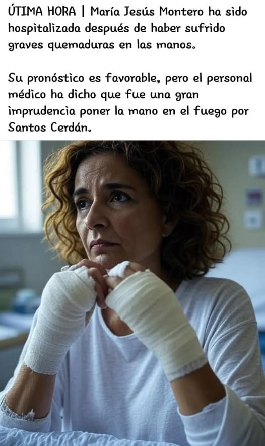 Zero Perez Alba tweet media