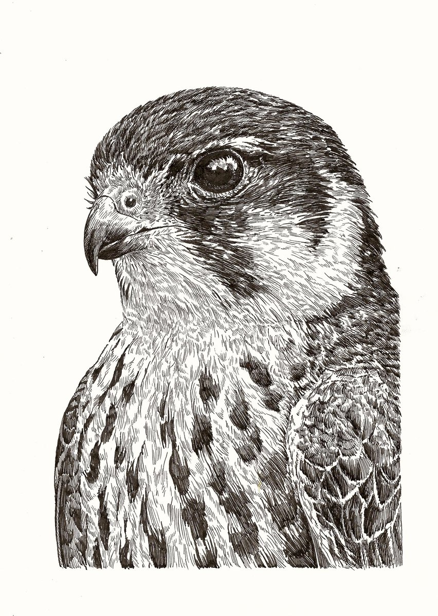 Bas Geeraets 🦉 tweet media