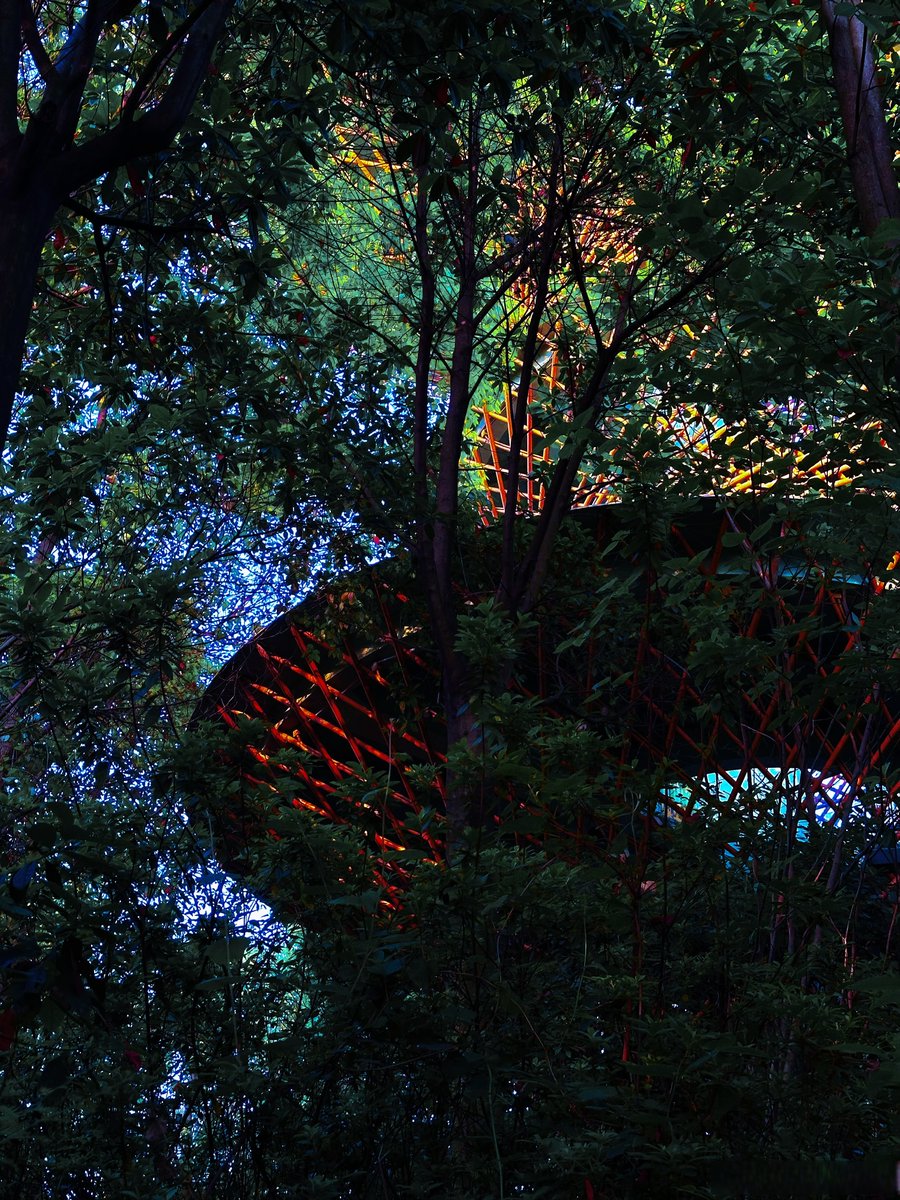 Empire Insurance tweet media