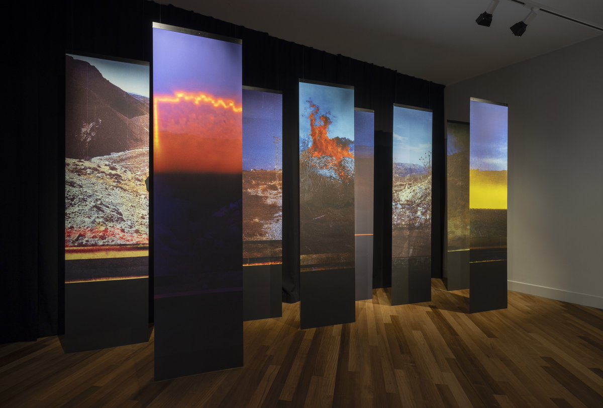 SMALL ZINE tweet media