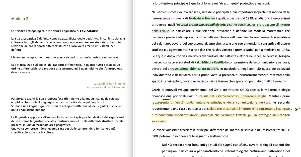 fra 🐈‍⬛ tweet media