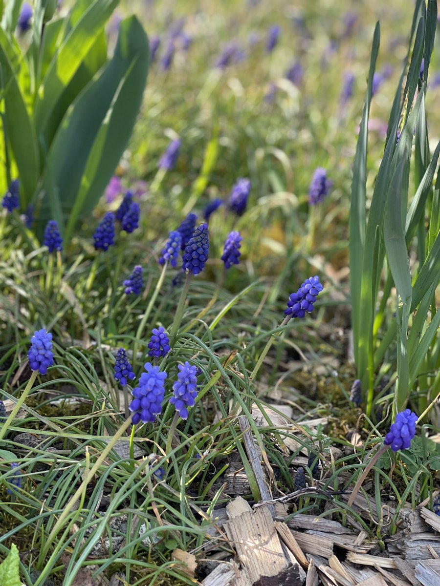 red wine tweet media