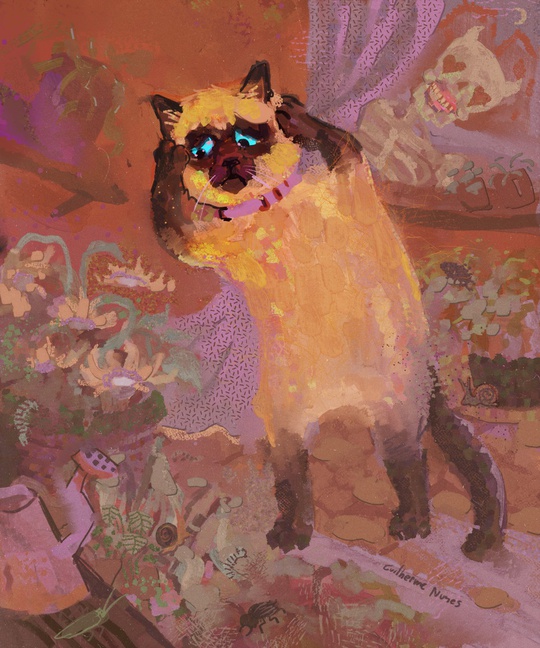 Guilherme Nunes tweet media