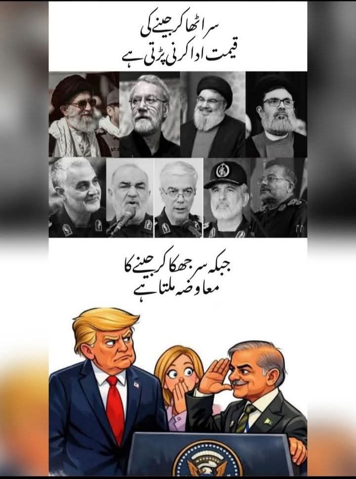 Shajar Awan tweet media