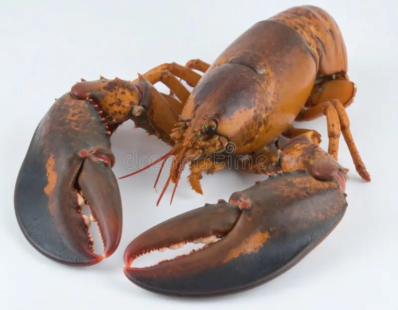 El Club del Arte 🎨📷📚🖼🕍🎼 tweet media