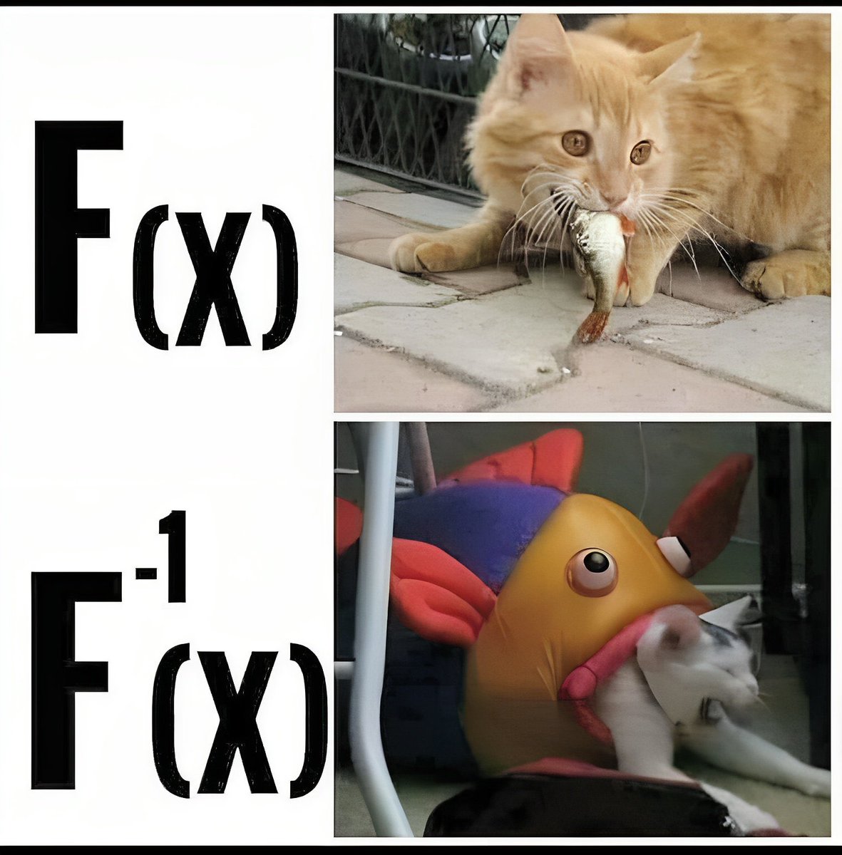 Herman Huitron 🇺🇦 🎗️ tweet media