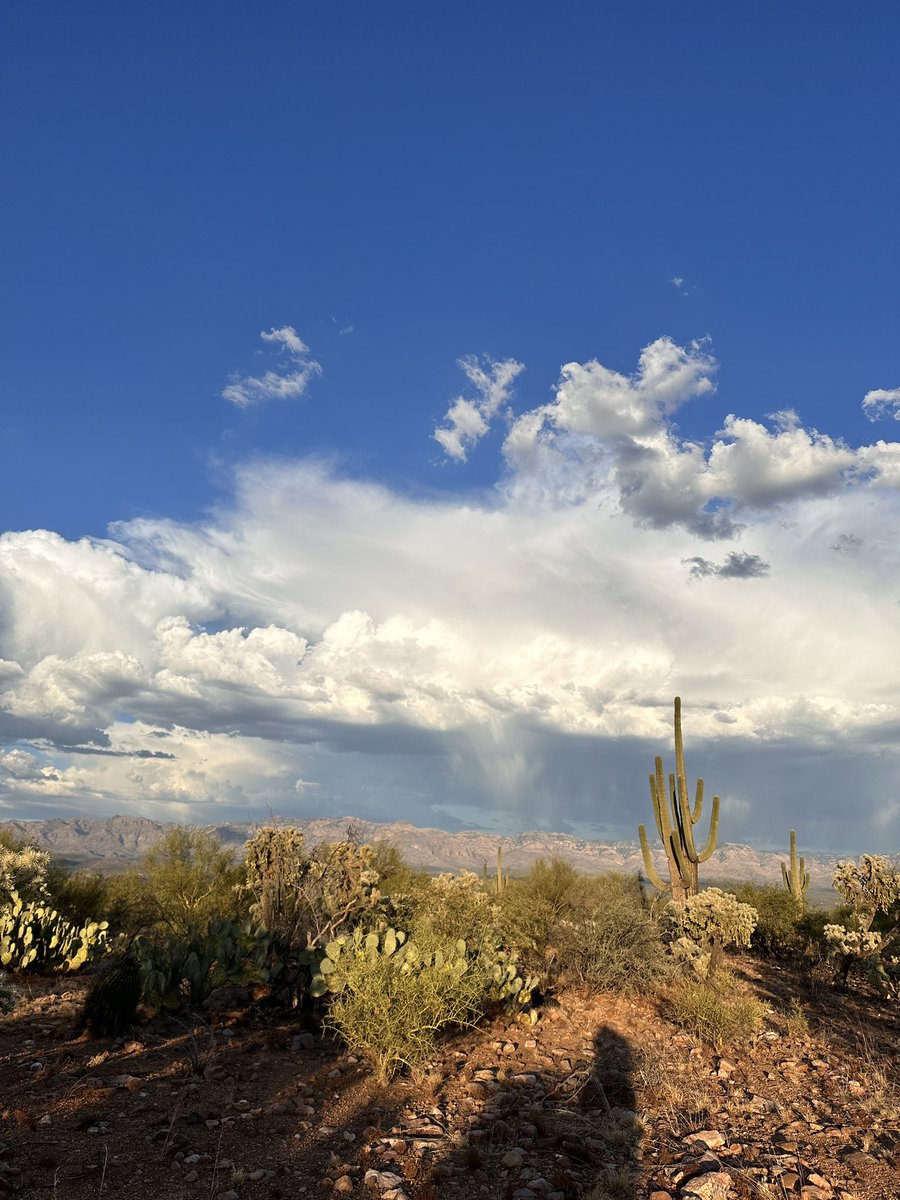 Raven Jade tweet media